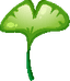 Lotus icon